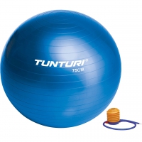 Tunturi Gym Ball - Gymnastikball Sitzball 75 cm Blau
