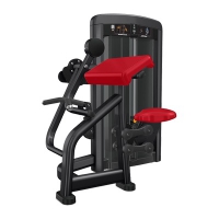 Life Fitness BICEPS CURL2 INSIGNIA-SERIE