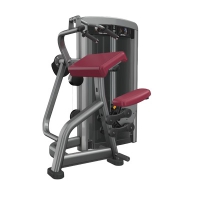 Life Fitness TRICEPS EXTENSION INSIGNIA-SERIE