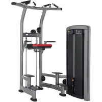 Life Fitness ASSIST DIP CHIN INSIGNIA-SERIE
