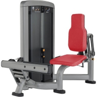 Life Fitness CALF EXTENSION INSIGNIA-SERIE