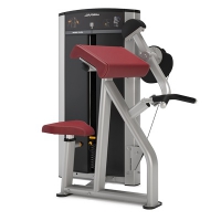 Life Fitness BICEPS CURL AXIOM-SERIE