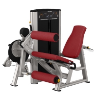 Life Fitness SEATED LEG CURL/EXTENSION AXIOM-SERIE